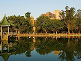 台湾大学
